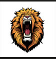 lion logo vector image vector image