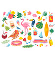 summer elements cocktail drinks soda tropical vector image