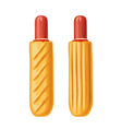 french hotdog with ketchup flat vector image