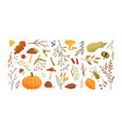 autumn set collection hand drawn fallen leaves vector image vector image