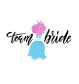 team bride hand drawn bachelorette party hen vector image