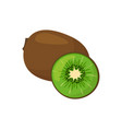 cartoon fresh kiwi isolated on white background vector image