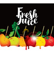menu for juice and fresh from various fruits vector image vector image