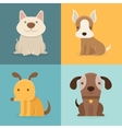 set of cartoon dogs in flat style vector image