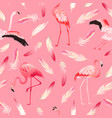 tropical flamingo seamless summer pattern feathers vector image vector image