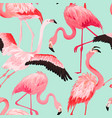 tropical flamingo seamless summer pattern vector image vector image