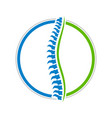 healthy spine circle design vector image