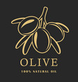 olive with leaves on dark background logo vector image