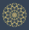 ornamental round lace with damask vector image