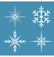snowflakes vector image