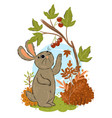a cute rabbit is picking autumn berries vector image