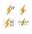 flash sale abstract banner badge set vector image