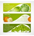 vegetables banners horizontal vector image vector image