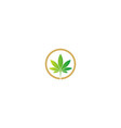 cannabis herb medic green leaf logo vector image vector image