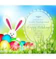 easter background with frame for text rabbit and e vector image vector image