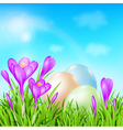 easter card with eggs and violet crocuses vector image vector image