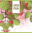 strawberry pattern design templates product hand vector image vector image