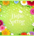 hello spring poster vector image