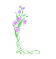 floral bouquet frame swirl vignette border vector image