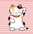 maneki neko cat wishes good luck vector image