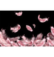 pink feathers flying fluffy swan falling vector image vector image