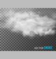 smoke on transparent background vector image