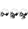 white human skull in profile projection set vector image