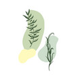 modern plant elements background 3 vector image vector image