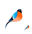 a beautiful red bullfinch with red breast vector image vector image