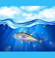 realistic tuna sea composition vector image vector image