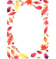 sweet color autumn leaves freme watercolor vector image vector image