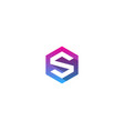 hexagon letter s logo icon design vector image