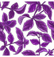 basil plant pattern vector image