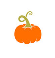 pumpkin vector image