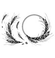 wheat rye barley round frame or wreath vector image