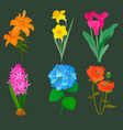 beautiful flower bouquet design decoration vector image