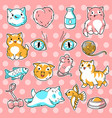 set cute kawaii cats fun animal collection vector image vector image