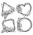 frame with vine vector image vector image