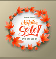 sale circle banner with maples vector image
