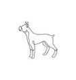 single one line drawing gallant boxer dog vector image