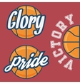 set of three basketball team logo with ball vector image vector image
