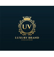 uv initial letter gold calligraphic feminine vector image