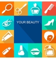 beauty and makeup flat icons vector image