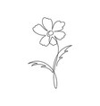flower one line drawing continuous vector image vector image