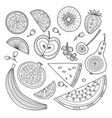 set of nutrient-rich raw fruits in boho style vector image vector image
