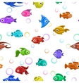 seamless pattern with colorful fishes vector image