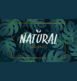 tropical foliage natural background template vector image vector image