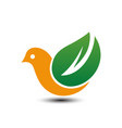 bird eco business logo vector image vector image