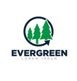 evergreen logo designs modern simple vector image