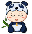 baby panda vector image